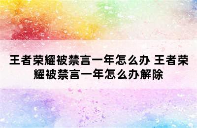 王者荣耀被禁言一年怎么办 王者荣耀被禁言一年怎么办解除